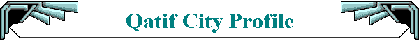 Qatif City Profile